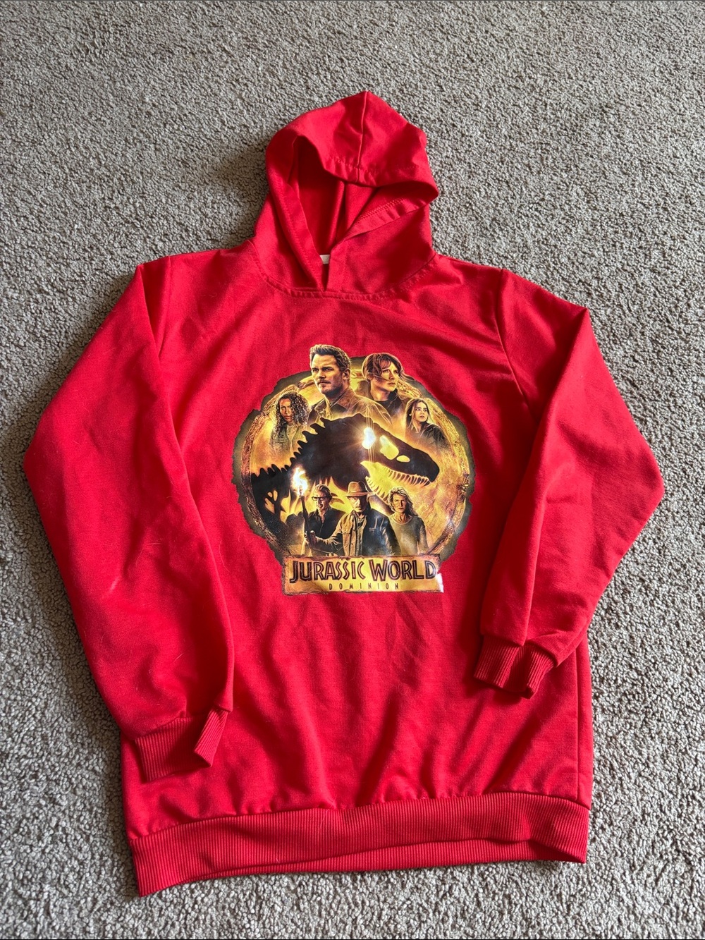 #280 Jurassic World Red Graphic Hoodie Sweatshirt - Kids